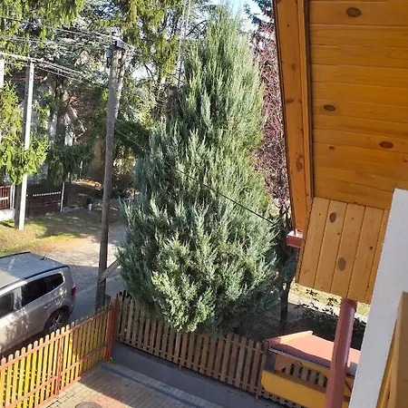 Sargarigo Vendeghaz * Богач